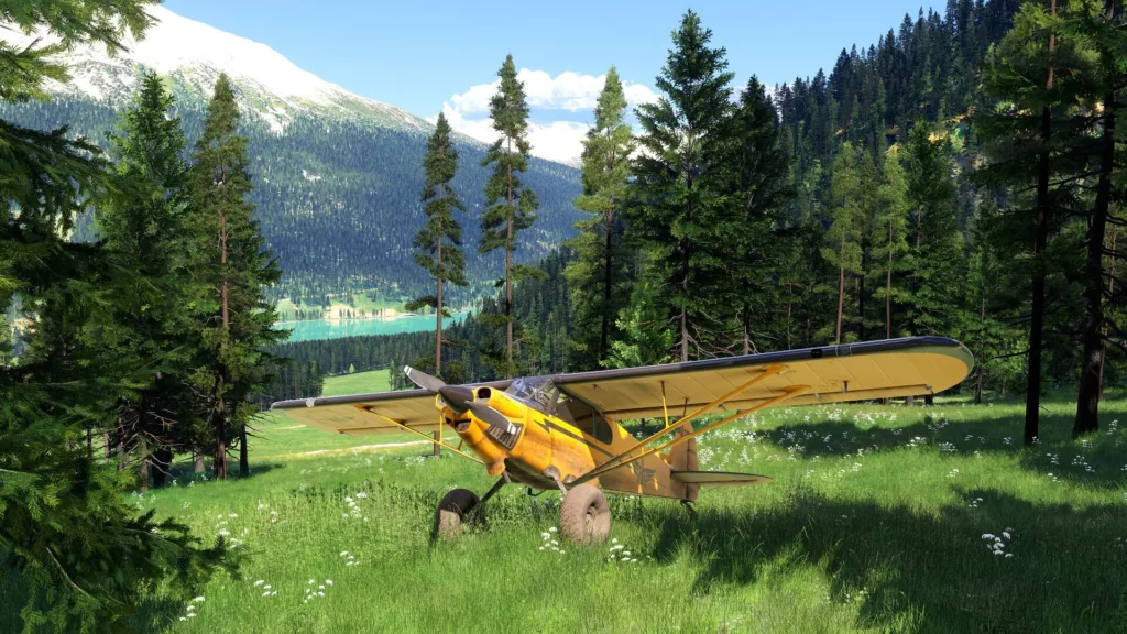 Microsoft Flight Simulator 2024 PlayStation