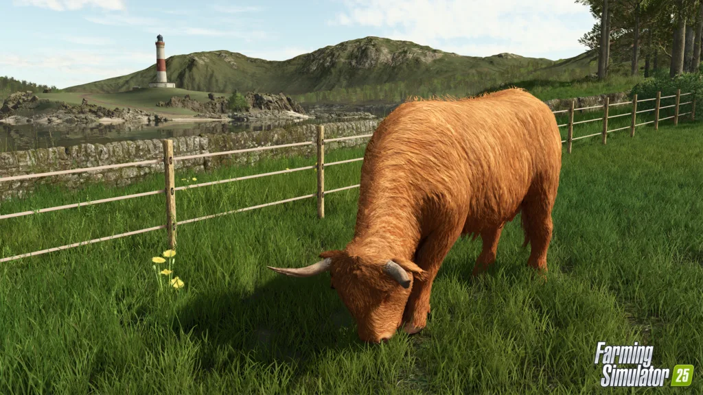 Farming Simulator 25 Highland Cattle