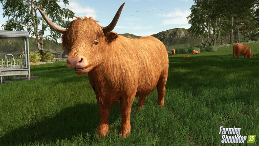 Farming Simulator 25 Highland Cattle