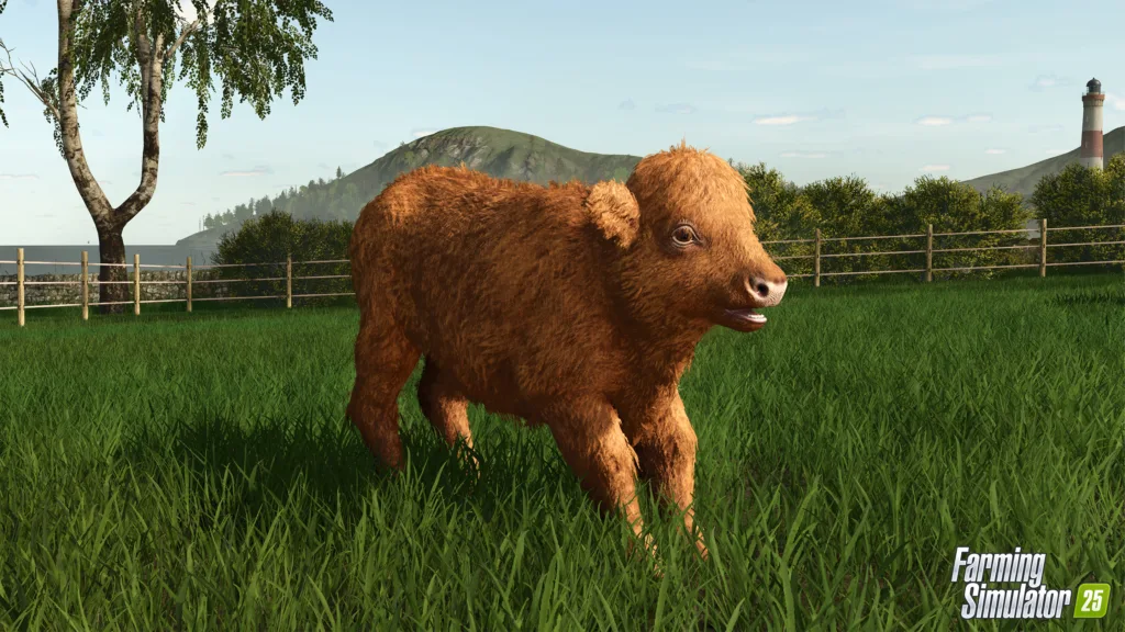 Farming Simulator 25 Highland Cattle