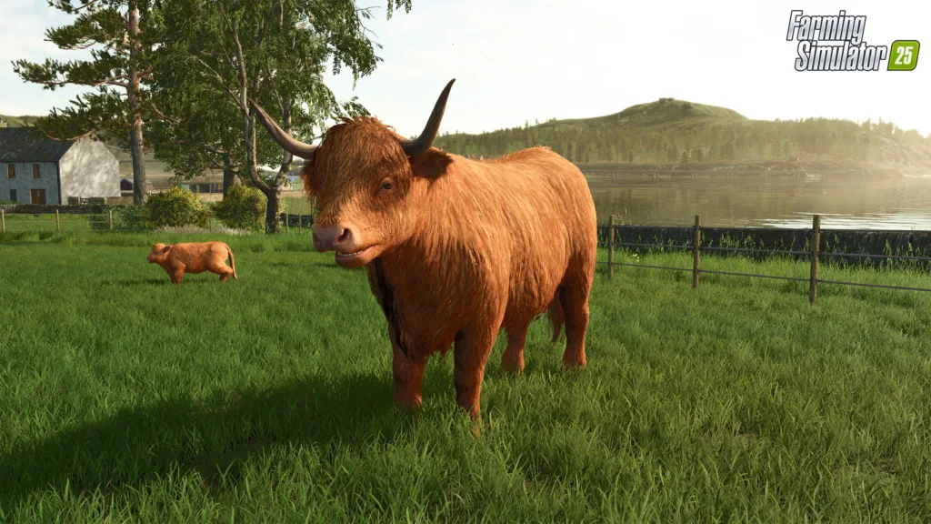 Farming Simulator 25 Highland Cattle