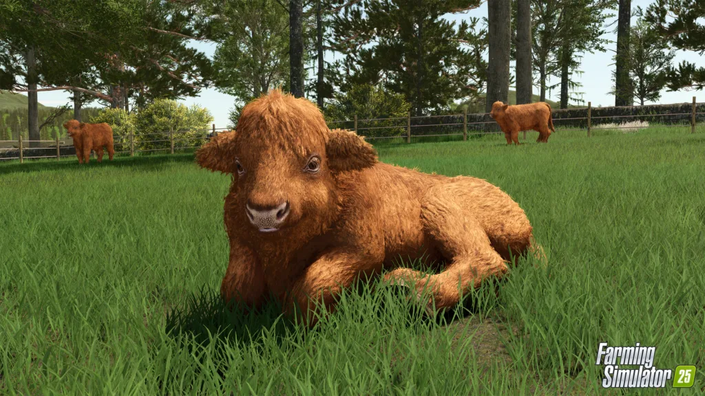 Farming Simulator 25 Highland Cattle