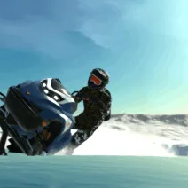 Sledders